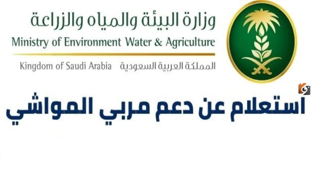 اصدار سجل مربي