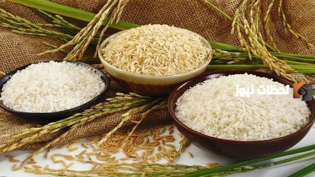 سعر طن الأرز الشعير في الاسواق المصرية اليوم