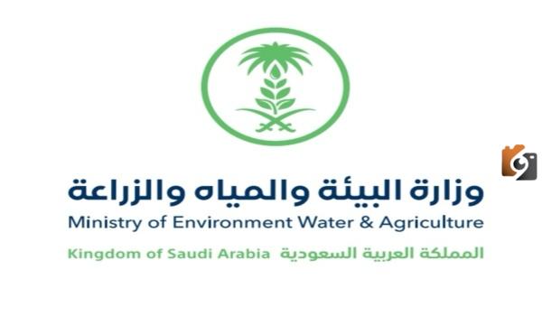 الاستعلام عن سجل مربي