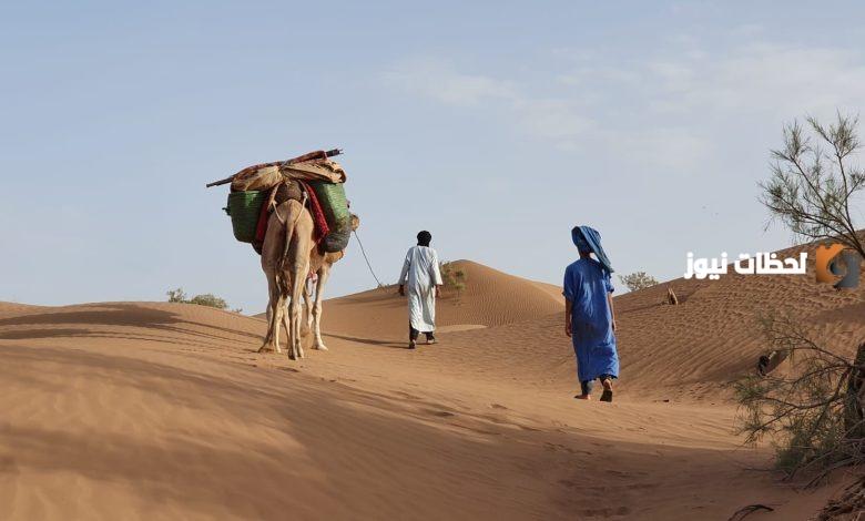 البناقي وش يرجع