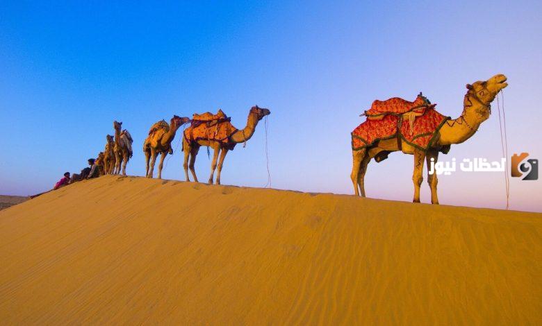 الحويل وش يرجعون