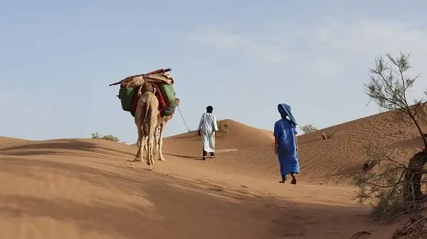 الخرجي وش يرجعون