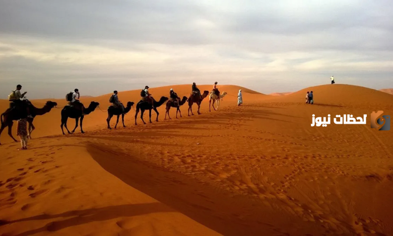 الخنفري القحطاني من وين