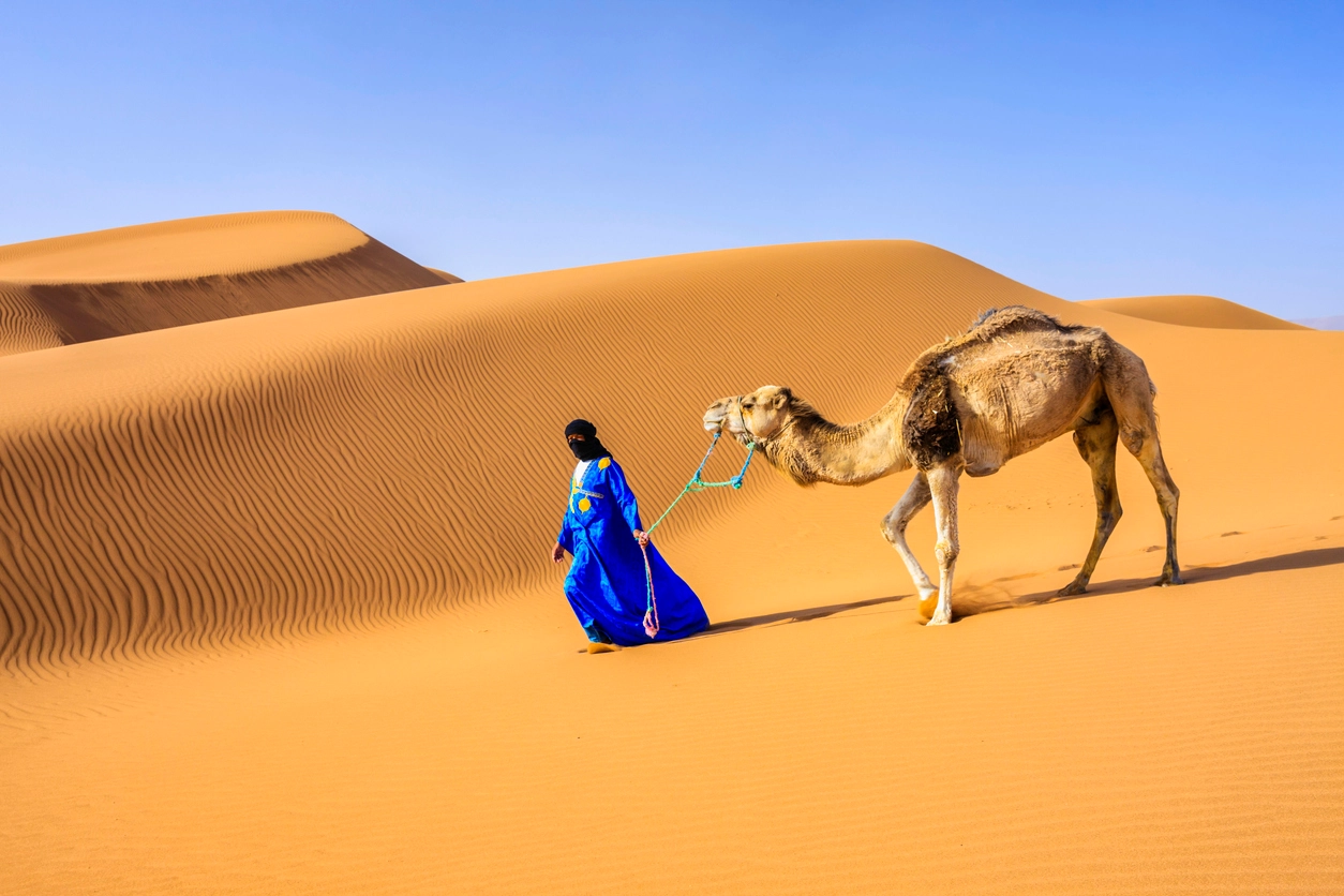 الديحاني وش يرجع