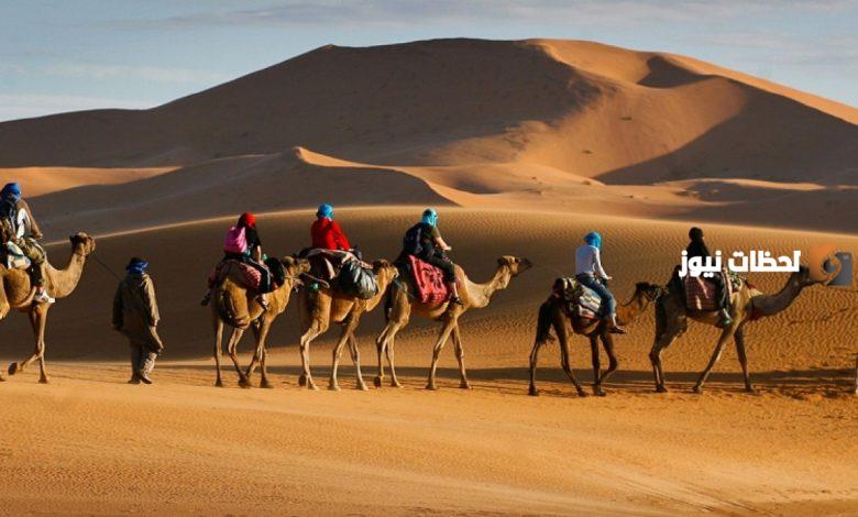 الذبياني وش يرجع