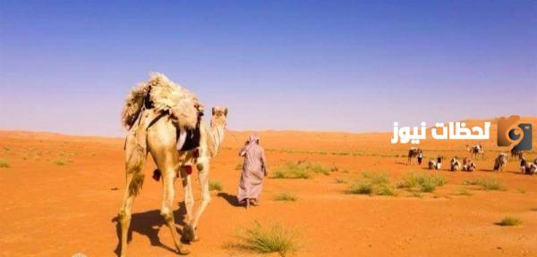 الرويلي وش يرجع وما هو أصل قبيلة الرويلي ؟