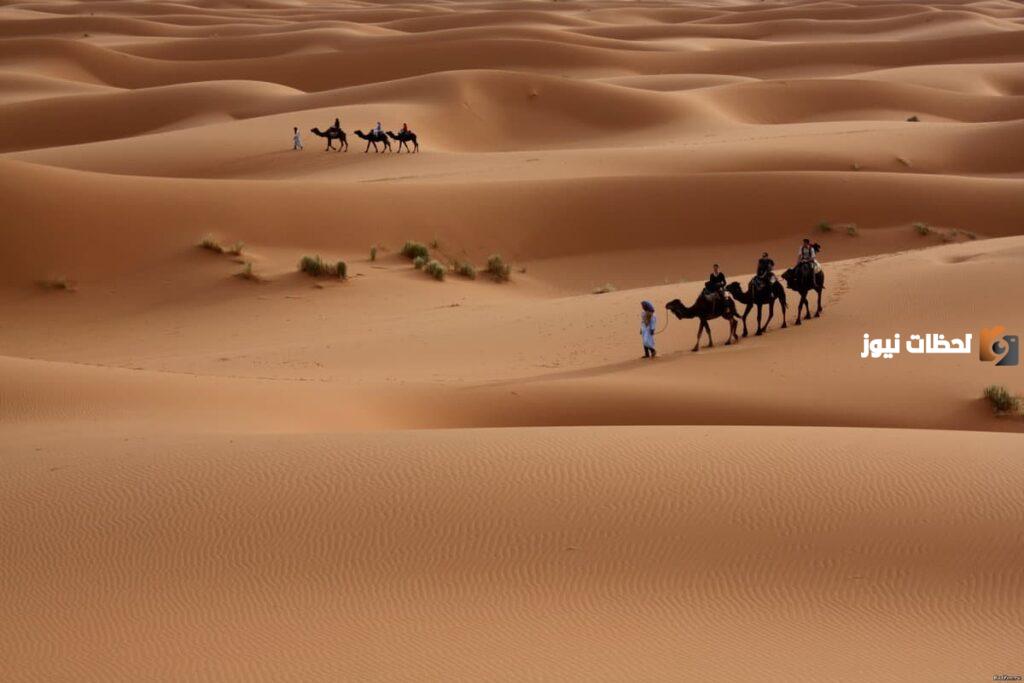 الزبيدي وش يرجع