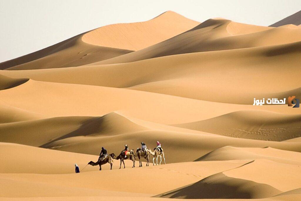 السواط وش يرجع
