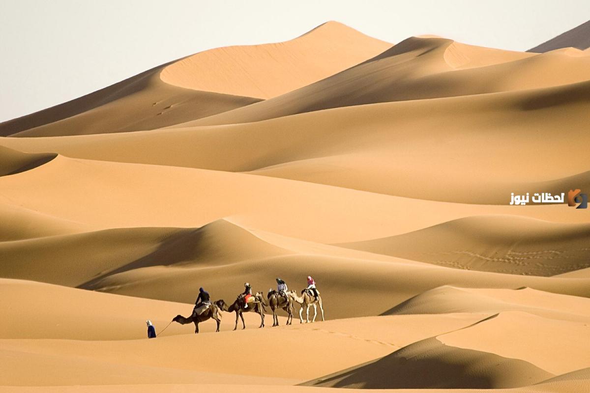 السواط وش يرجع السواط وش يرجع