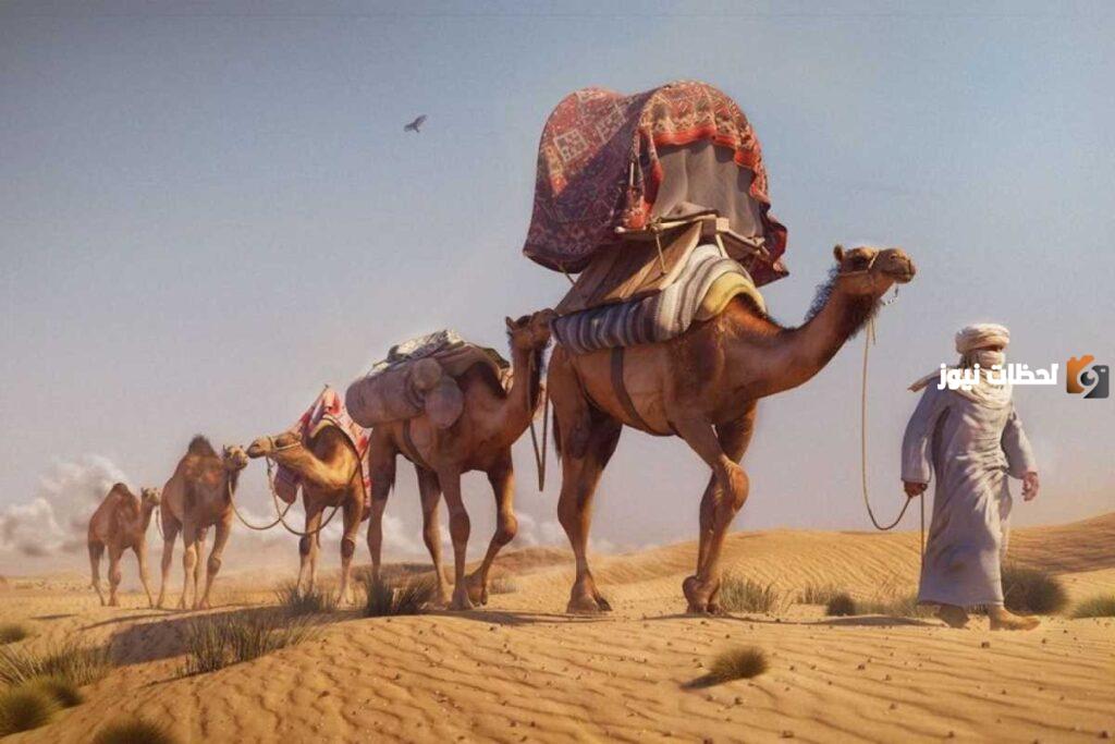 الشلاحي وش يرجع هل تنتمي إلى قبيلة مطير ؟