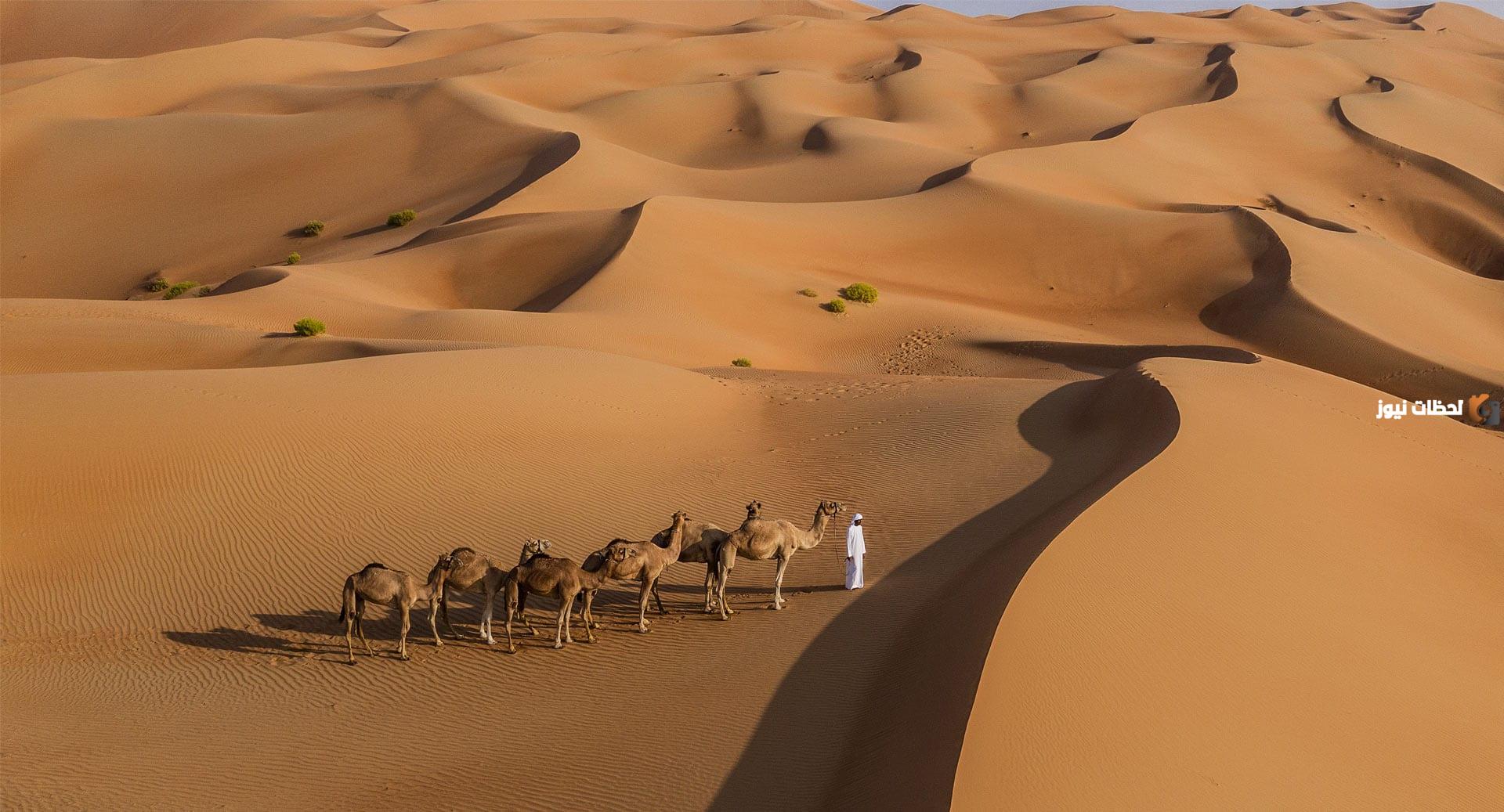 الصقعبي وش يرجعون وما هو اصلهم ؟