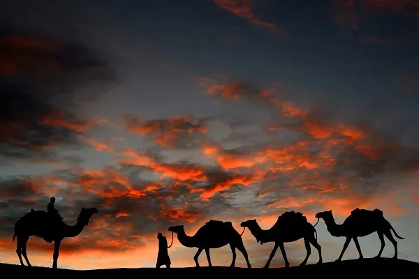 الصمعاني وش يرجع؟