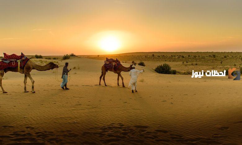 الضويان وش يرجعون