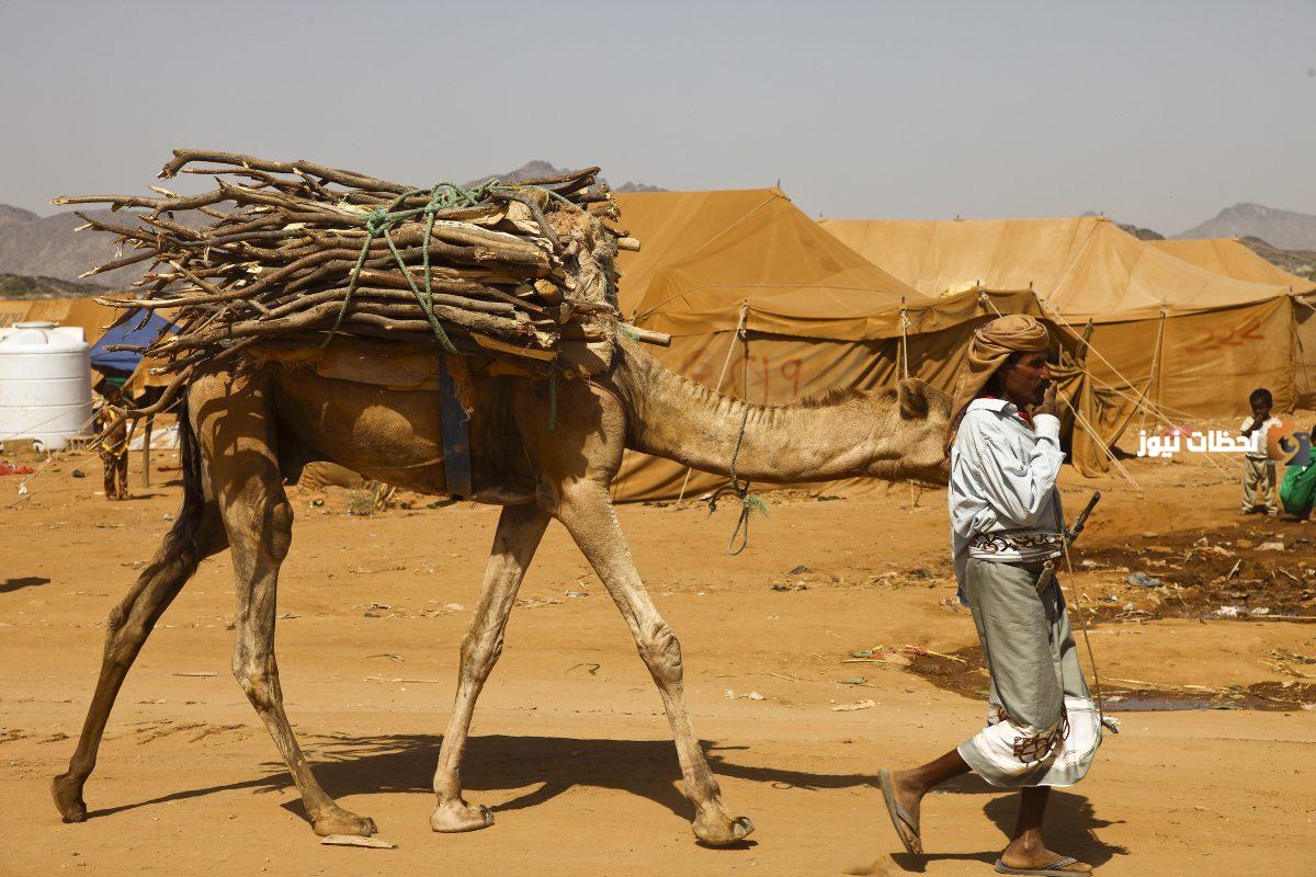 قبيلة الطهيمي وش يرجعون