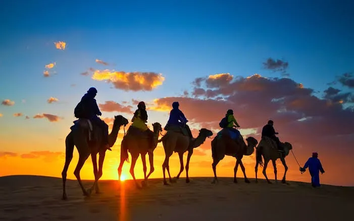 العساف وش يرجعون