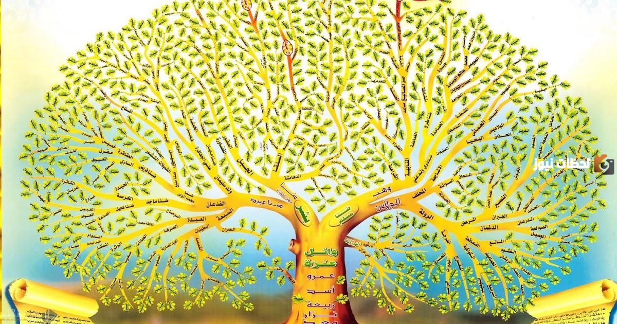 العلياني وش يرجع