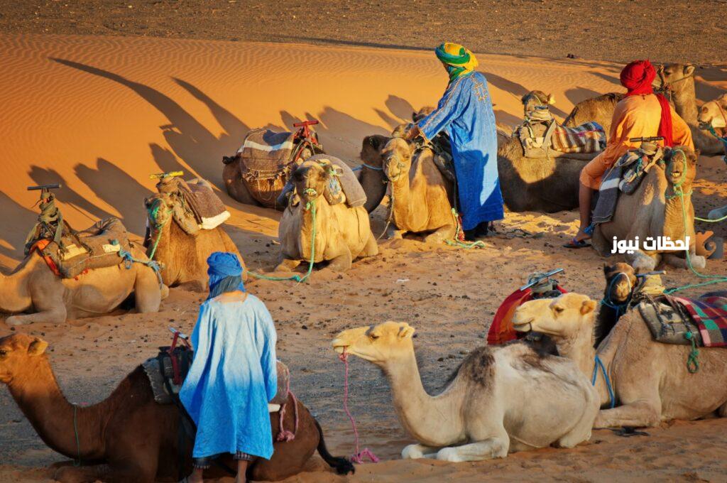 الغويري وش يرجع