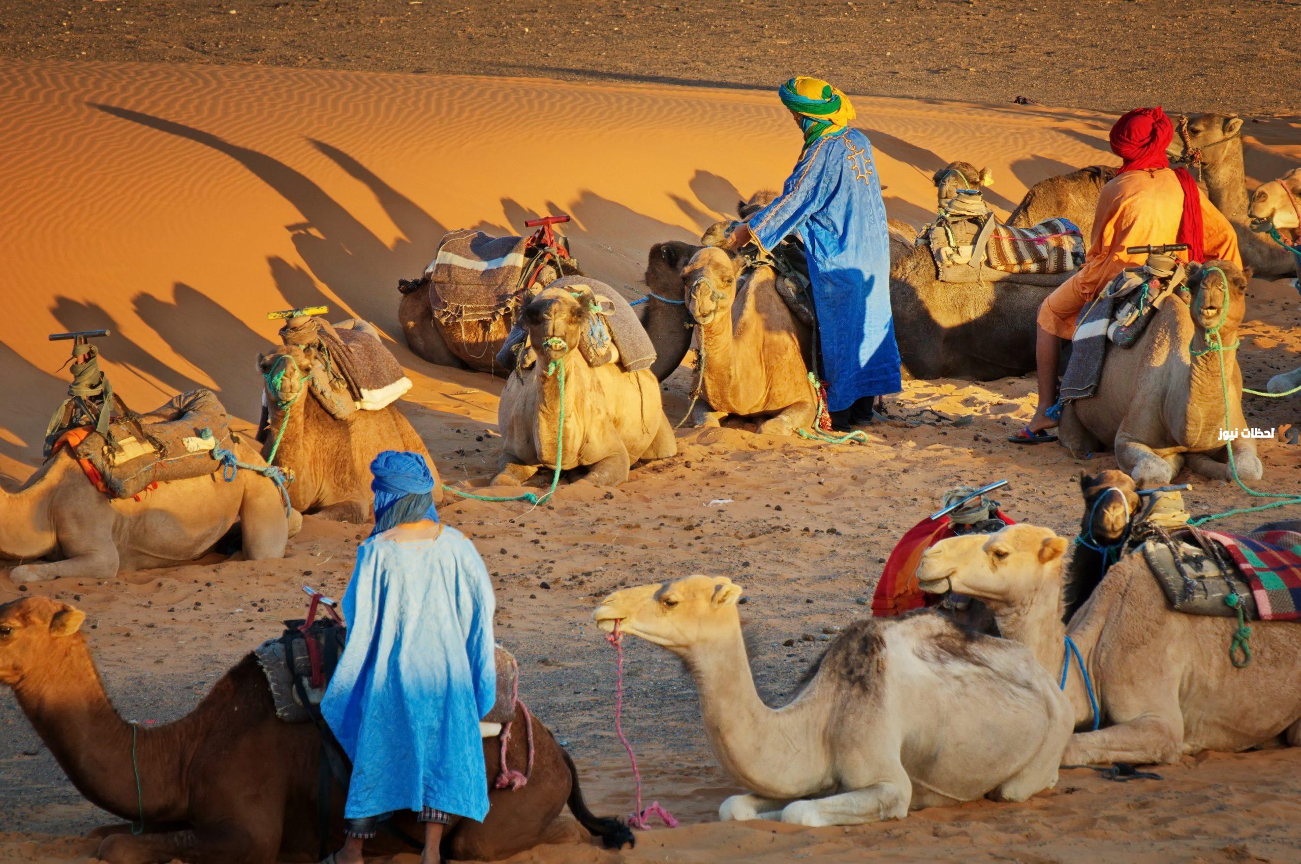 الغويري وش يرجع