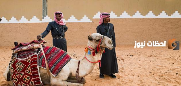 الفرق بين القبيلة والعشيرة والشعب