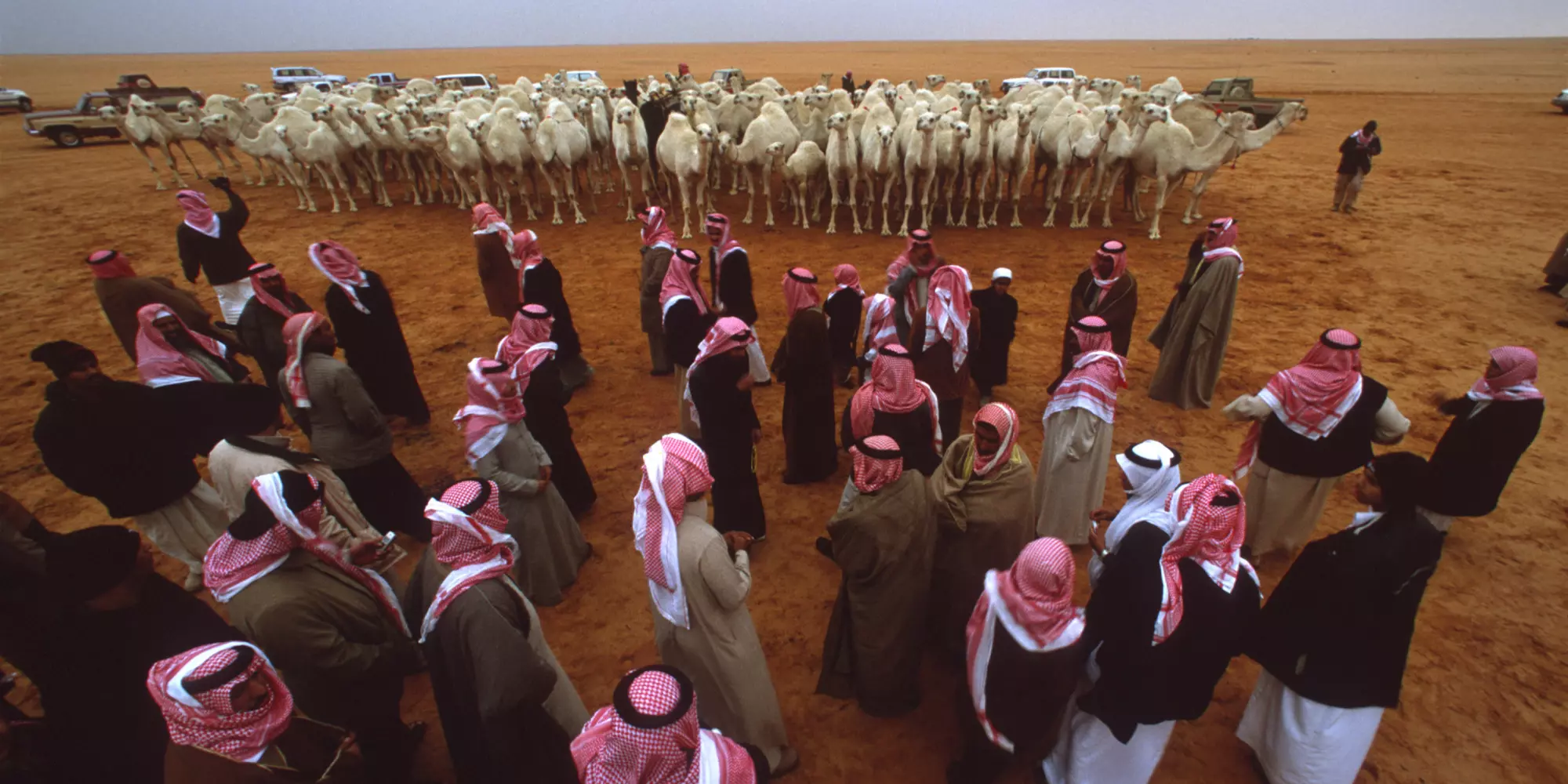 الفهمي وش يرجع هل هي عدنانية ؟