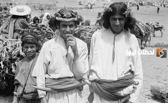 الفهيقي وش يرجع وهل الفهيقي صلبي؟