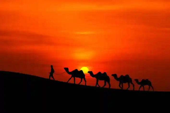 الكناني الزهراني من وين