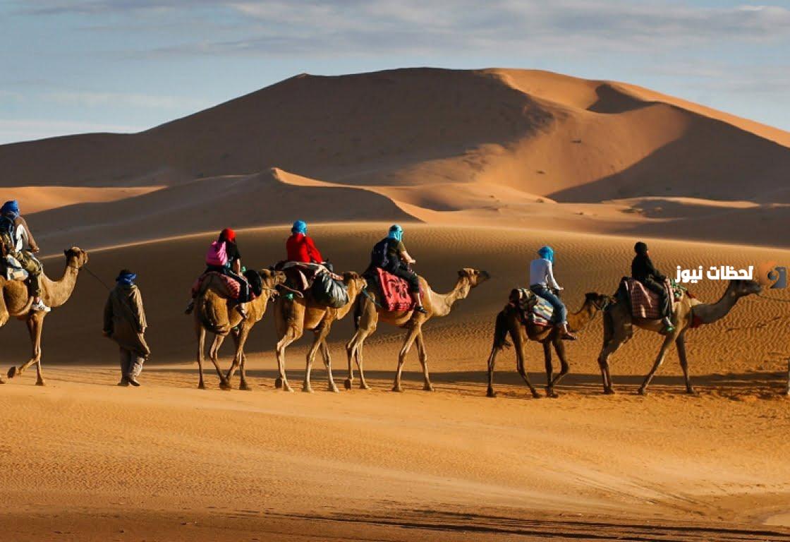 المطير وش يرجعون