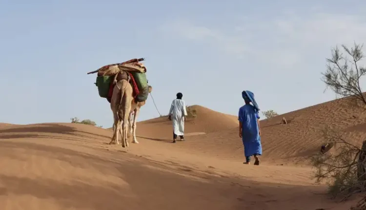 المورقي وش يرجع