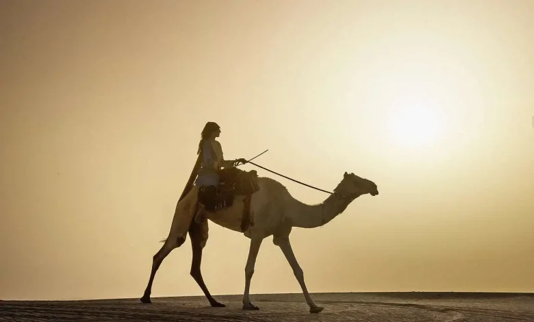 النصافي وش يرجع؟ ومن هم أبرز شخصياتهم النصافي وش يرجع؟ ومن هم أبرز شخصياتهم