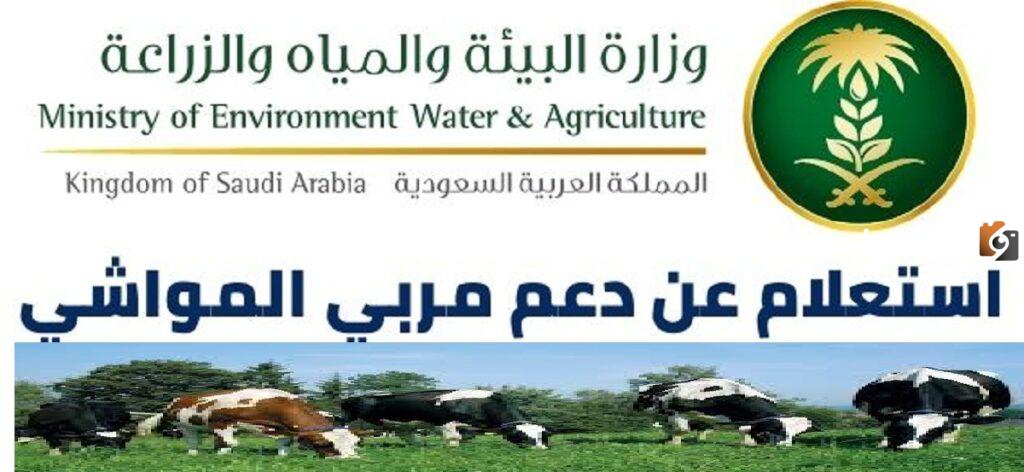 تعرف على خطوات الاستعلام عن أهلية دعم المواشي