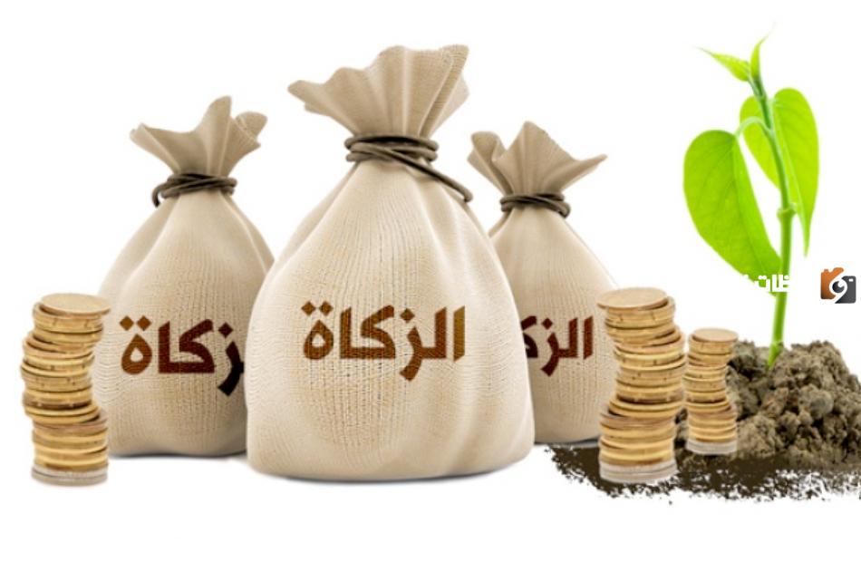 حكم اخراج زكاة الفطر نقدا