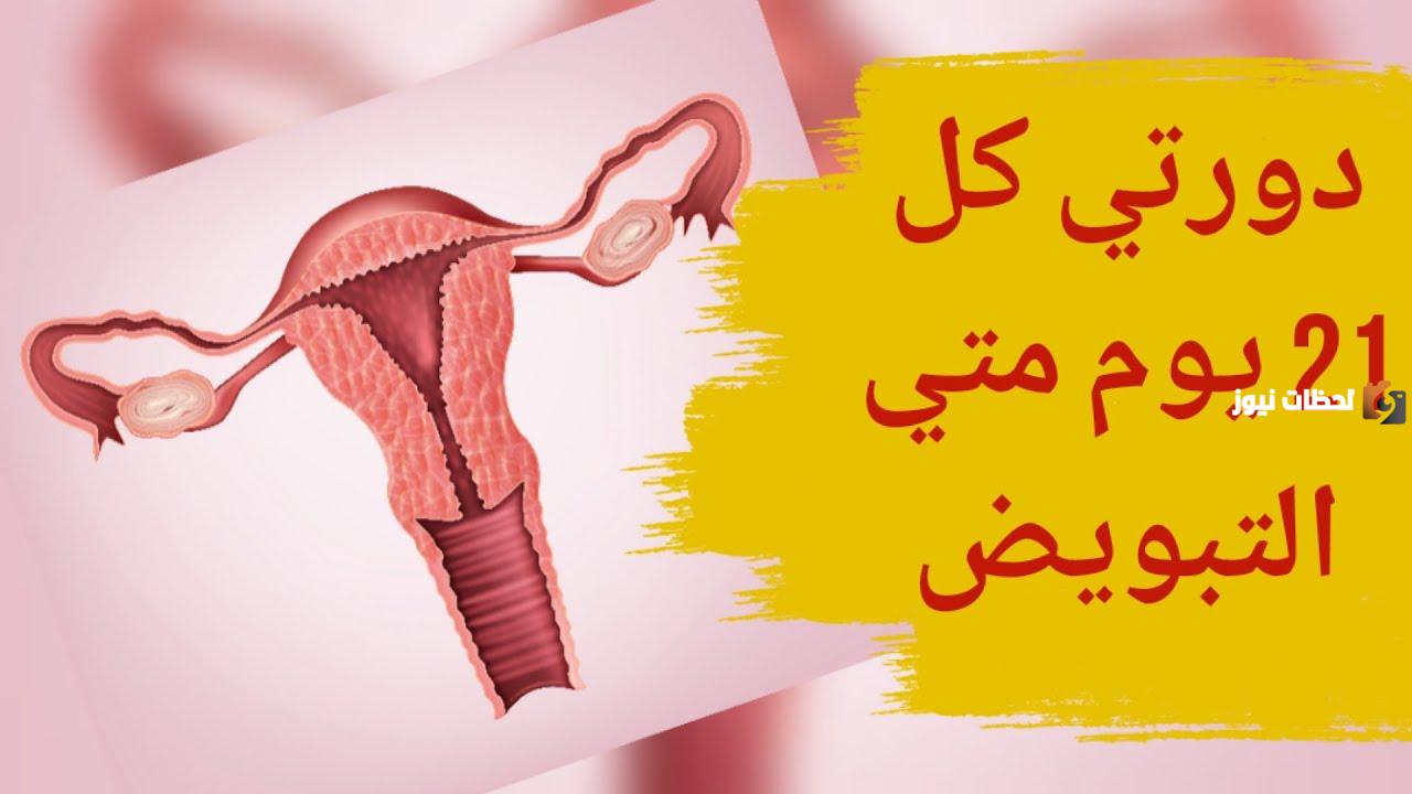 دورتي كل 21 يوم متى التبويض
