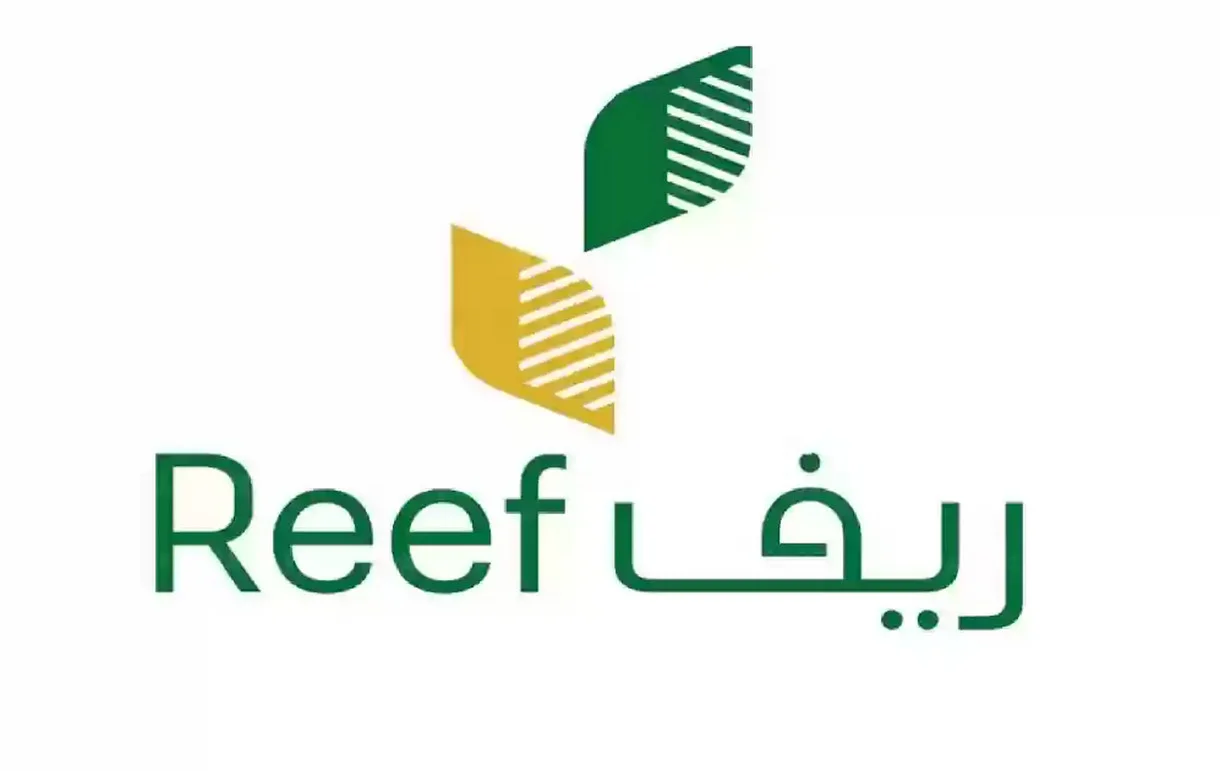 برنامج دعم الريف يوضح لكم 4 نصائح للحصول على أفضل أنواع العسل