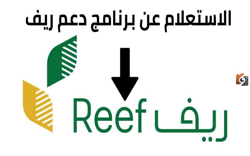 رابط التسجيل في دعم ريف للمواطنين والمواطنات