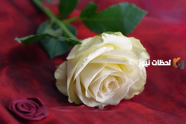 رسائل اهديها لصديقتي