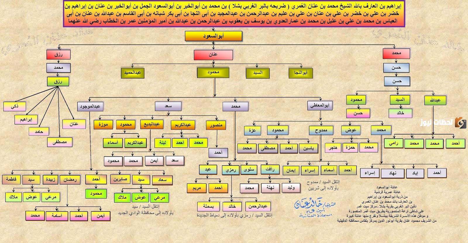شجرة عائلة العلي ونسبها شجرة عائلة العلي ونسبها