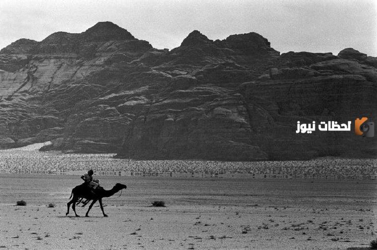 شجرة قبيلة الحويطات الحقيقي وعشائرها