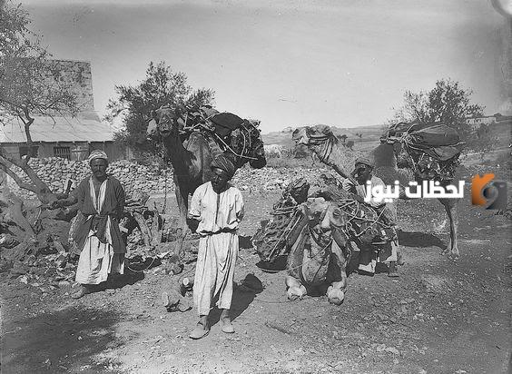 شجرة قبيلة العيايدة ونسب القبيلة بالكامل