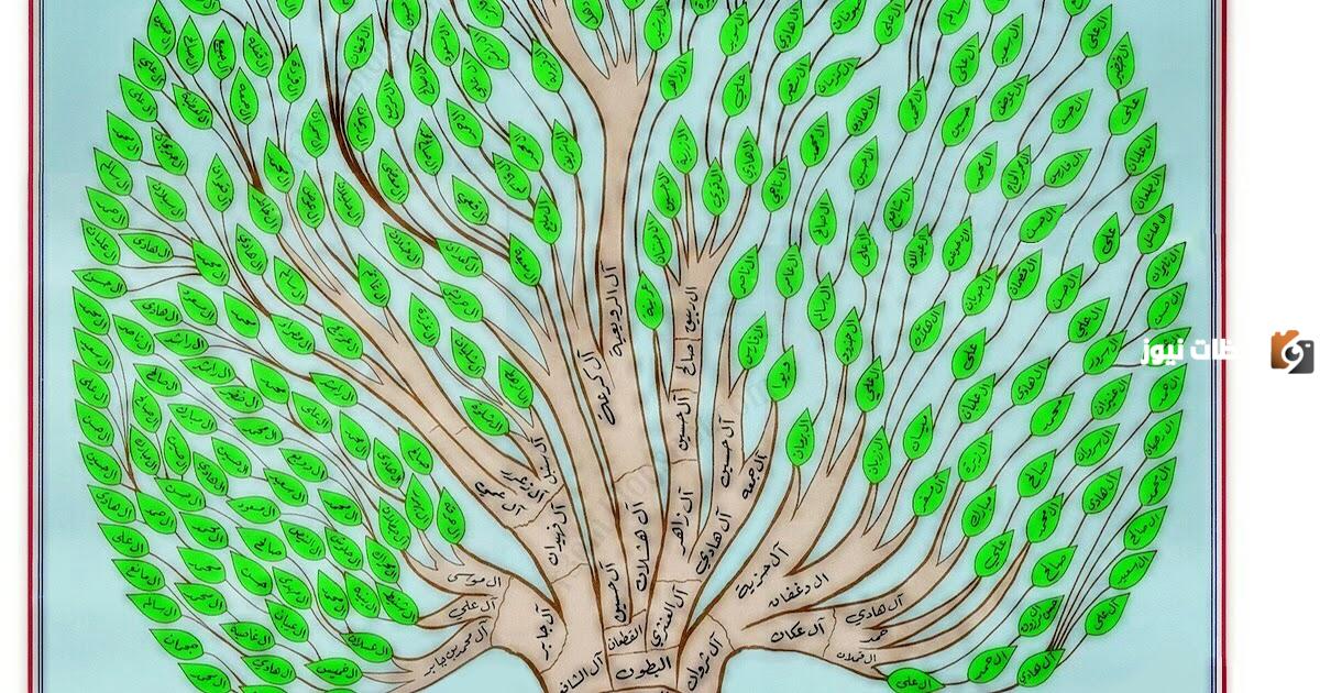 شجرة يام الأصلية ونسبها