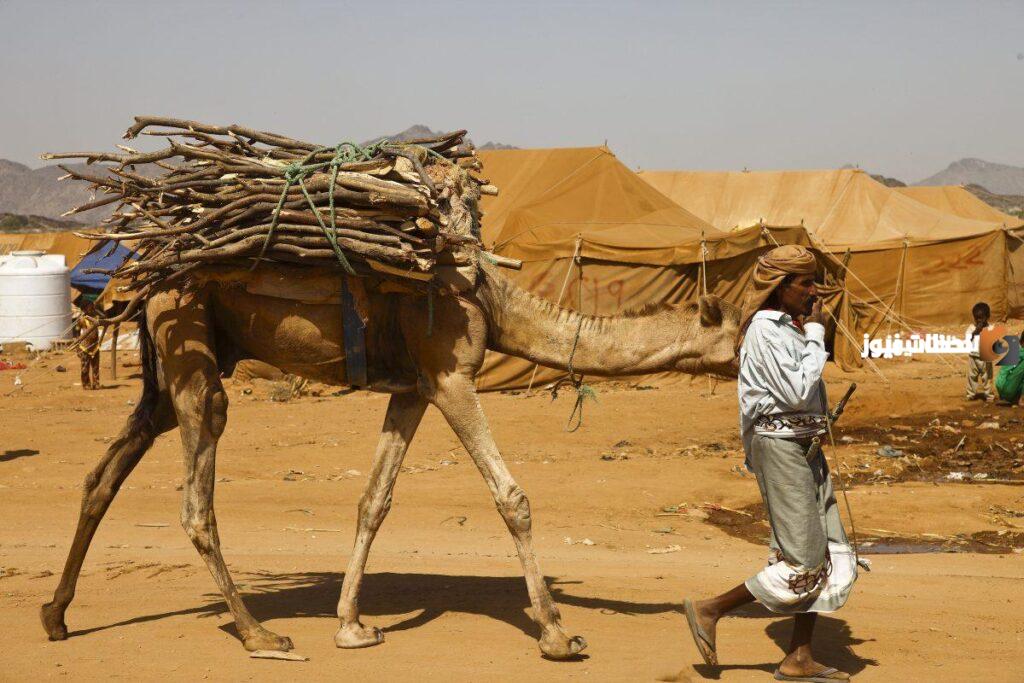 عائلة الطهيمي وش يرجع أصلها