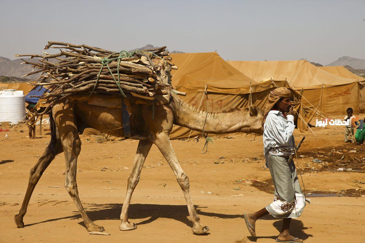 عائلة الطهيمي وش يرجع أصلها
