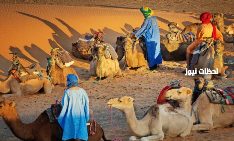 عائلة الكندري وش يرجعون ؟