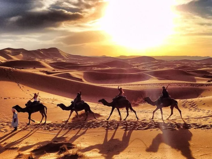 عائلة المطرف وش يرجعون