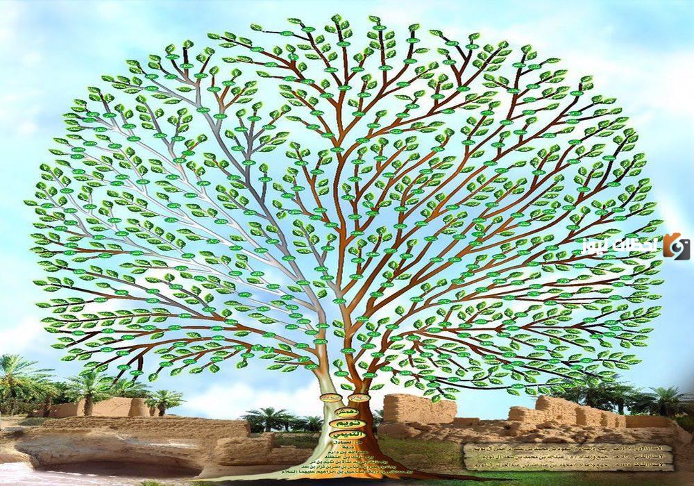 فخوذ قبيلة التميمي