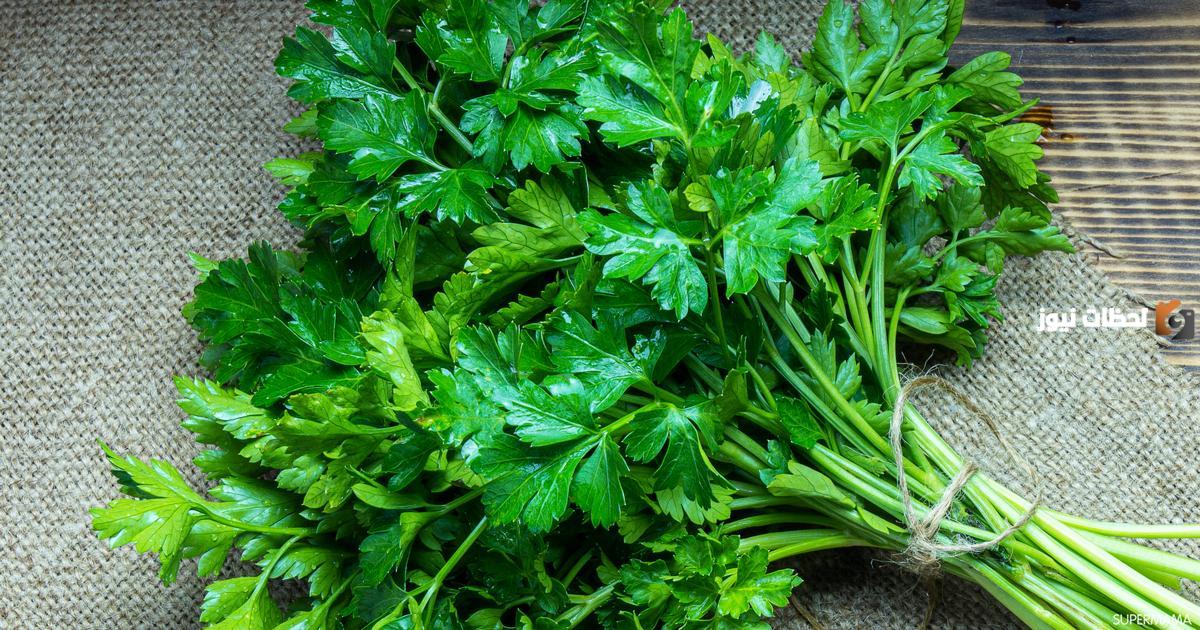 فوائد البقدونس المغلي للكلى