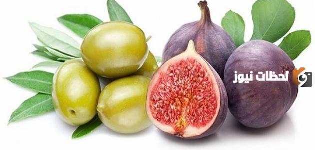 فوائد التين والزيتون