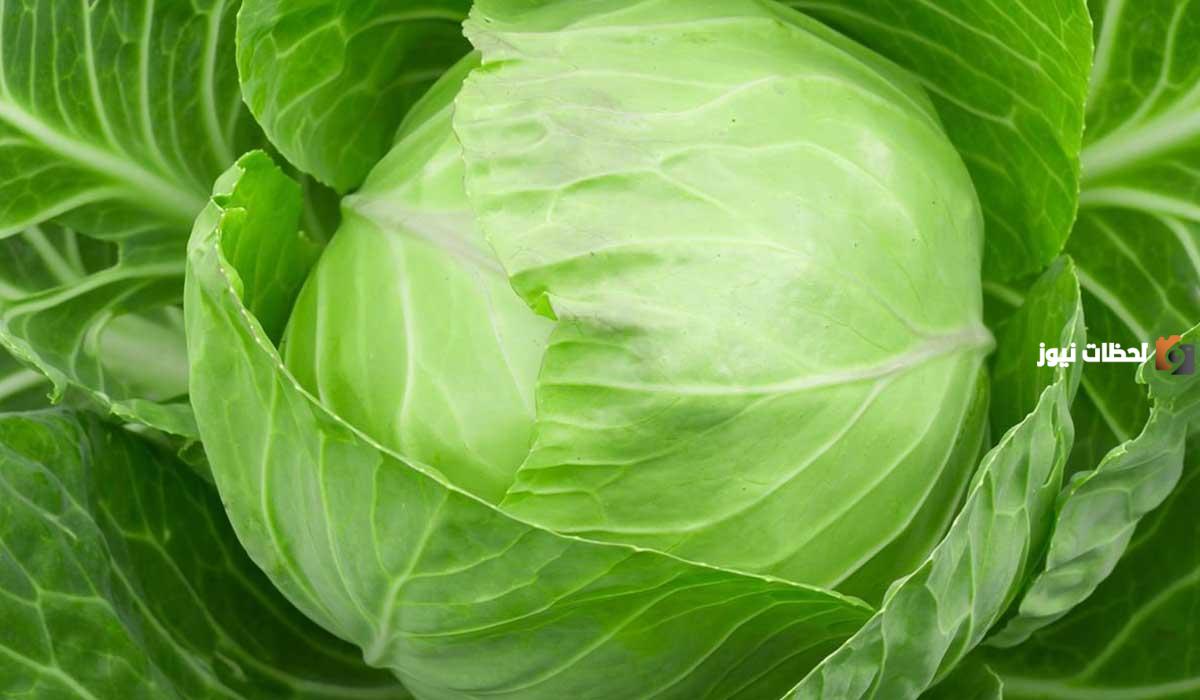 فوائد الملفوف