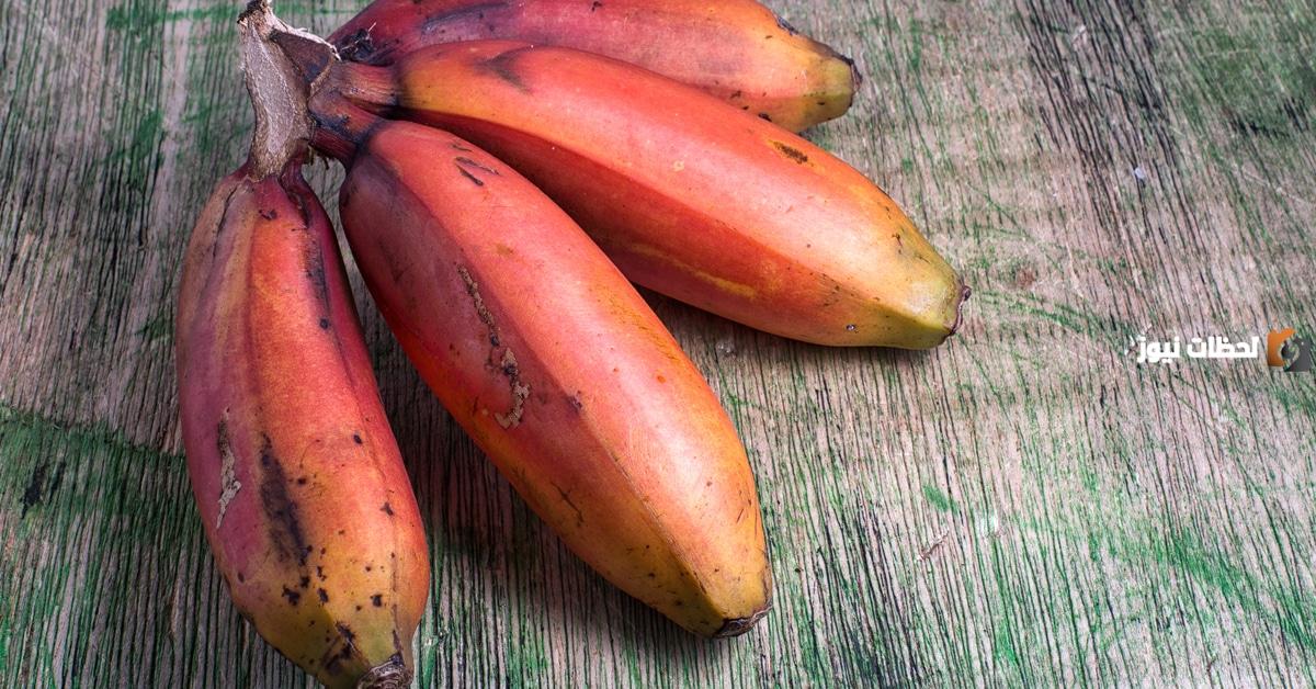فوائد الموز الأحمر