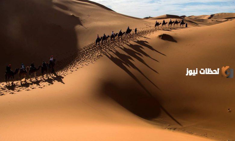 قبيلة التميمي من وين