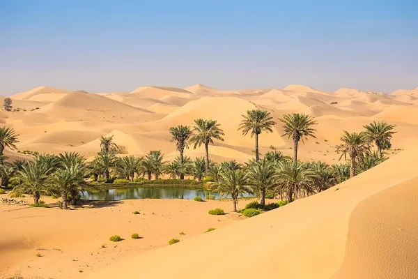 قبيلة المديفر وش يرجعون